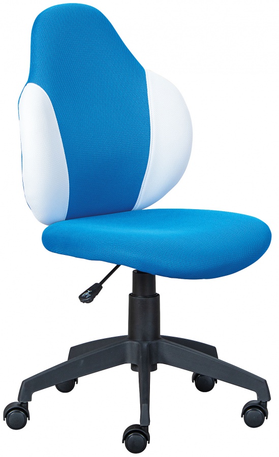 Dětská otočná židle na kolečkách zuri - modrá/bílá.

 

Rozměry dětské otočné židle na kolečkách Zuri jsou 52x92-102x56cm (š, v, h).

 

Veškeré produkty z kolekce Zuri naleznete níže v souvisejících produktech.